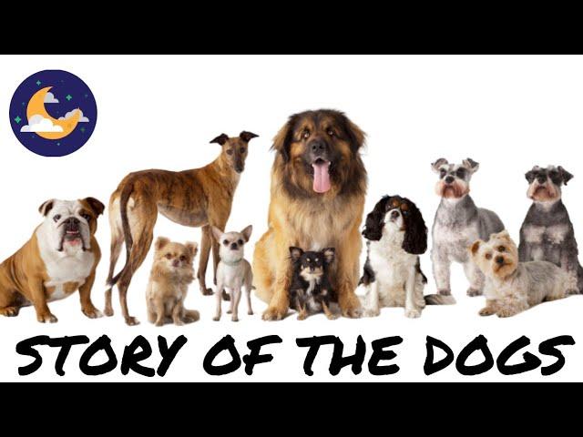 STORY OF THE DOGS | UNKNOWN DOG FACTS | INTERESTING FACTS ABOUT DOGS | KNOW YOUR FACTS