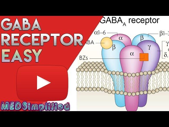 GABA Receptor( BZD) - Structure and Mechanism of Action