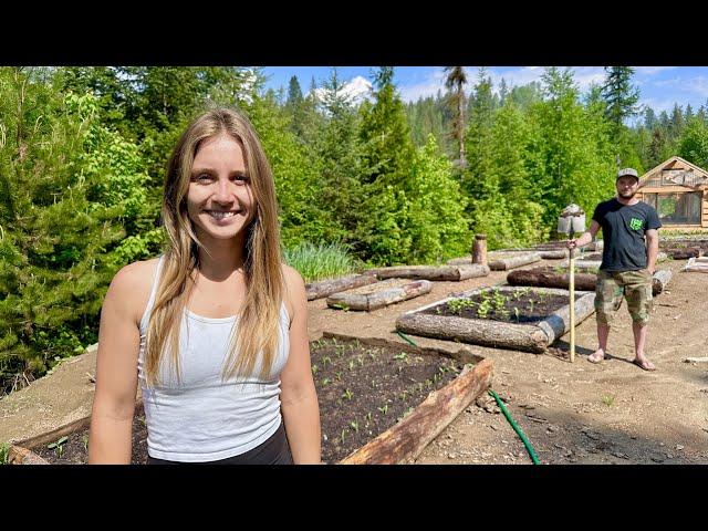 Raised Beds On A Budget | Idaho Mountain Homesteading