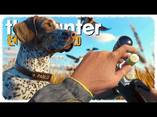 Hunting NEW BIRDS with my NEW DOG on the NEW MAP (ʰᵉ'ˢ ᵏᶦⁿᵈᵃ ᵈᵘᵐᵇ) | theHunter: Call of the Wild