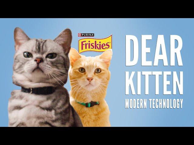 Dear Kitten: Modern Technology // Presented by Friskies & BuzzFeed