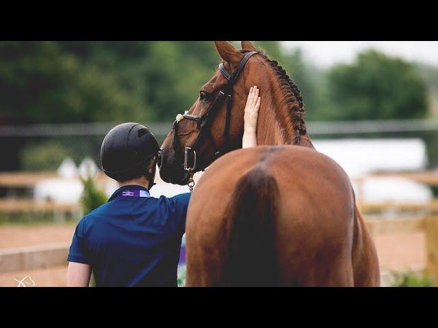 Happier || Equestrian Motivation