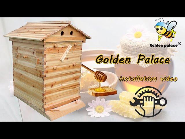 CH Golden palace Auto-flow hive assembly video 2023