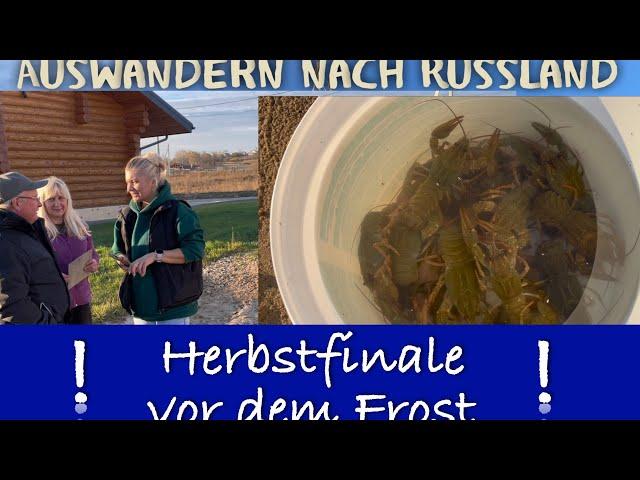 Es läuft das große Finale vor dem Frost alle Häuser Winterfest zu machen. Es fehlt nur noch das ….