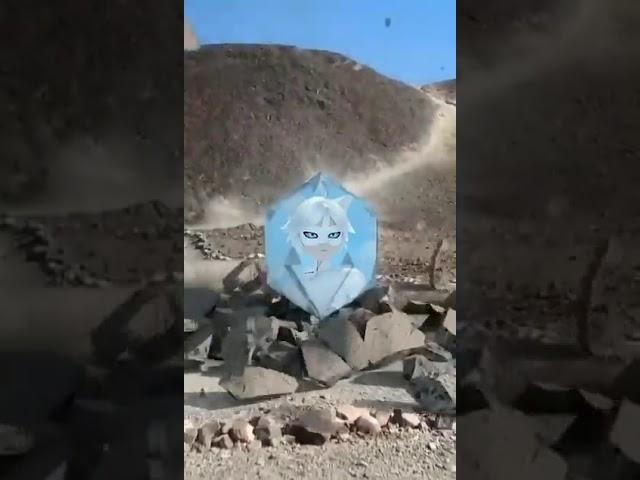 Xonqizi va abjir mushuk