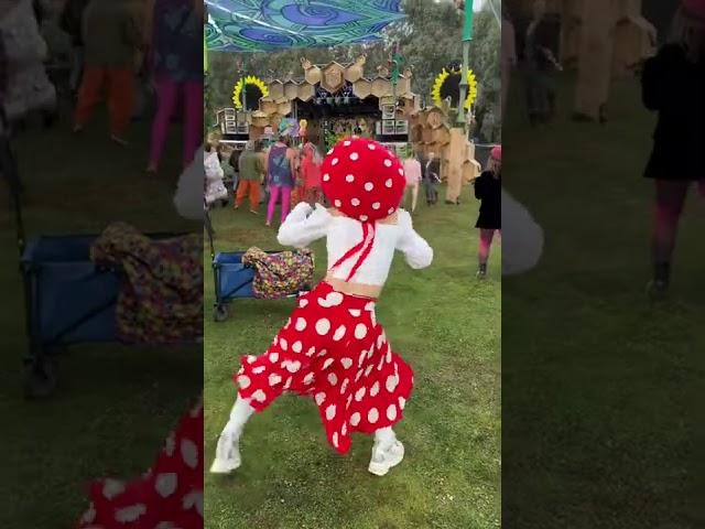 #mushroom #mushrooms #dancer #doof #doofs #perthdoofs #musicfestival #blossomfestival