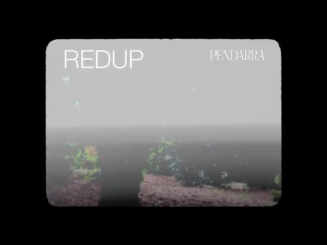 Pendarra - Redup (Official Lyric Video)