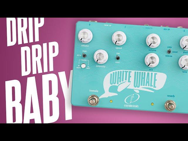 ALL The Vintage Tremolo And Spring Reverb! Crazy Tube Circuits White Whale V2!