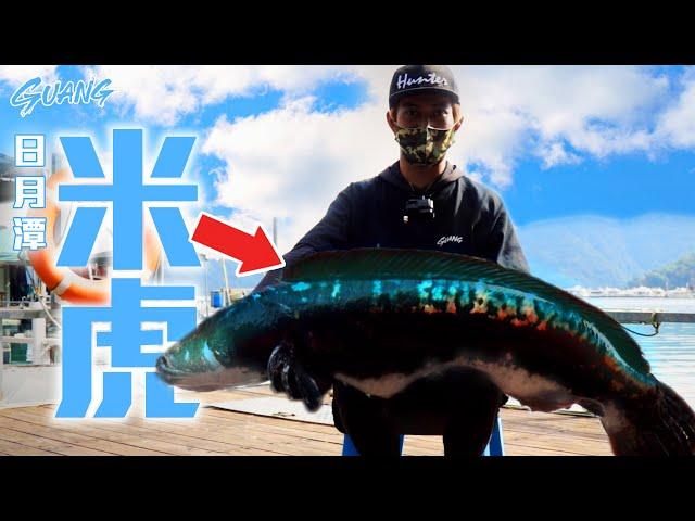 The world's largest record!!!!!!Taiwan is such a great place! Snakehead fishing/bait