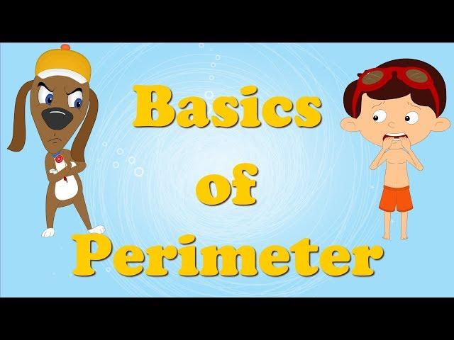 Introduction to Perimeter | #aumsum #kids #science #education #children