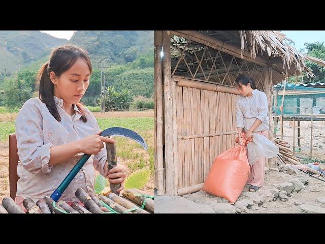 An 18-year-old single mother harvests sugarcane to sell and store food