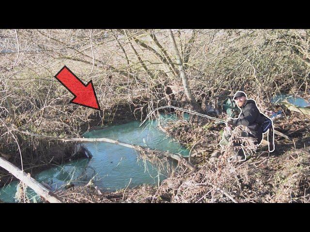 The Fish Were STACKED In This Tiny Woodland Stream!