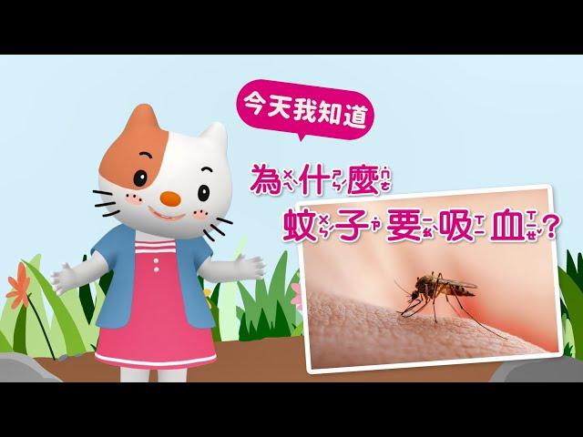 【生物小知識】哇～我被蚊子叮了！為什麼蚊子要吸血呢？｜小行星樂樂TV