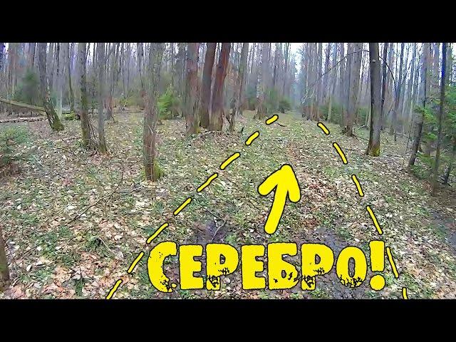 СЕРЕБРО ЛЕСНЫХ ДОРОГ! РЕАЛЬНЫЕ НАХОДКИ!  Кладоискатель Белый Копатель!