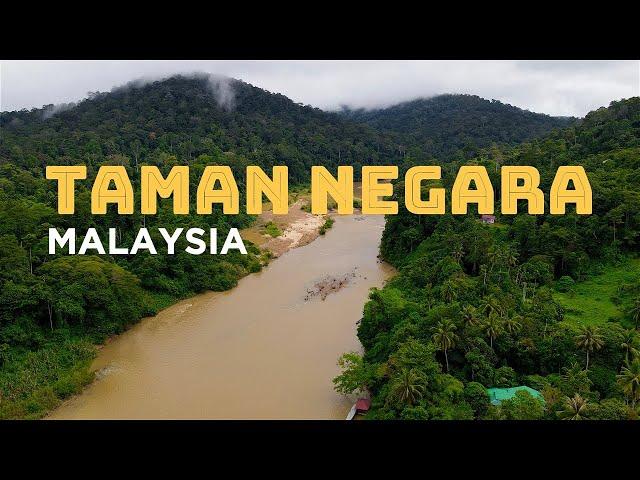 TAMAN NEGARA, Malaysia: Jungle Trek & CANOPY WALK + Elephants and Waterfalls