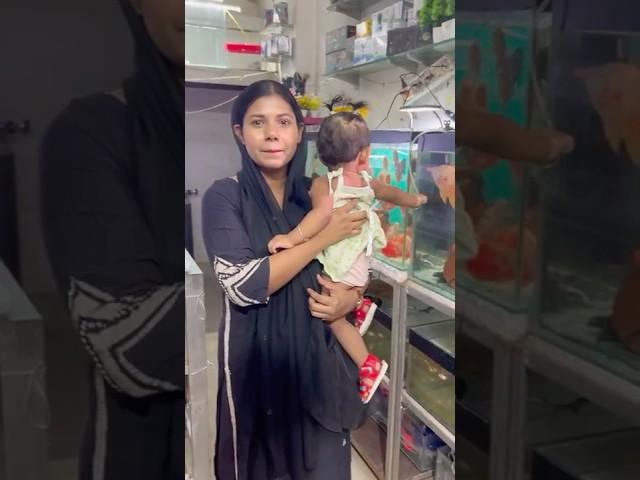 AYAT k lea ek BIRD lena pada  #shortsfeed #shorts #short #youtubeshorts #shortvideo #ytshorts