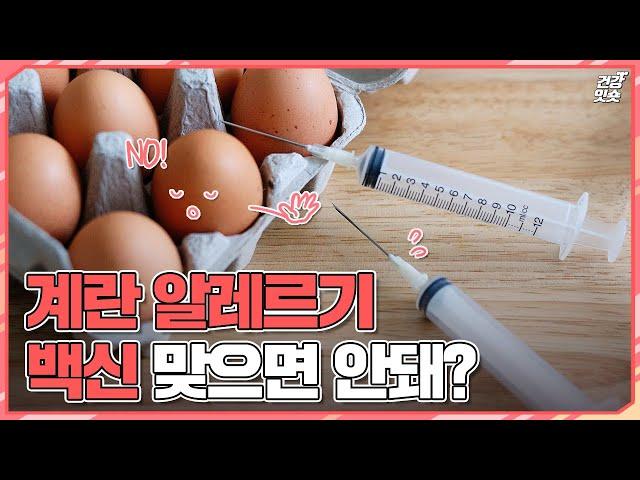 계란 알레르기 있는 사람, 독감 백신 맞으면 안돼? #shorts