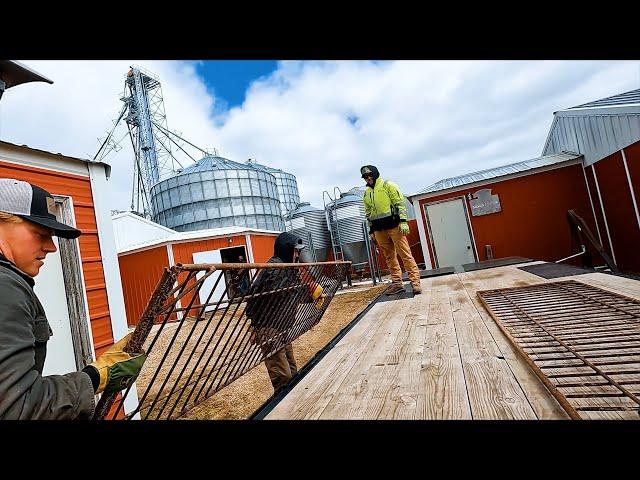 Cleaning Out A Hog Barn For Demolition!