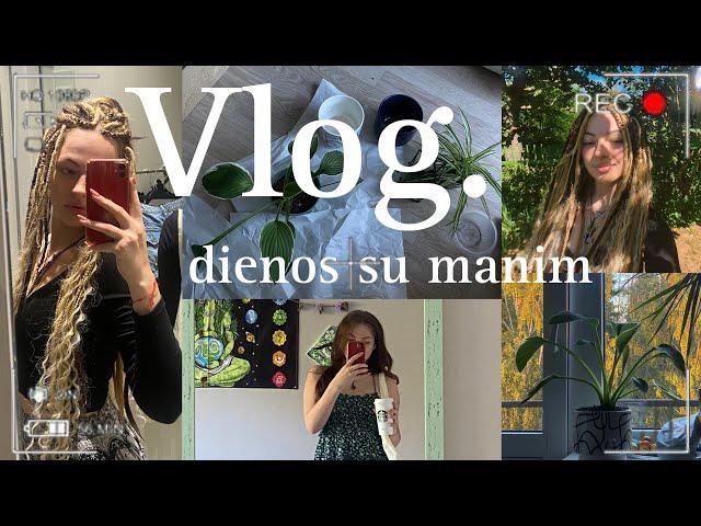 Vlog. SODINAM AUGALUS, HAUL, PINAMES DREDUS.