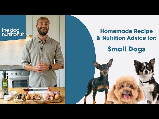 Small dogs - Homemade Dog Food Recipes (Complete & Balanced) - The Dog Nutritionist