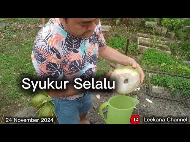 Nasib ada orang panjat pokok kelapa