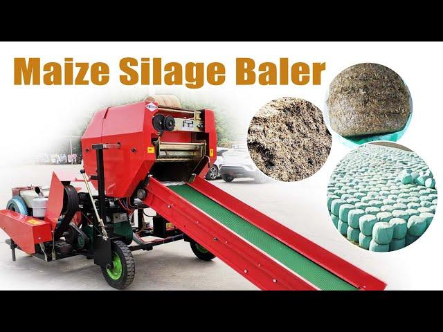 Great Performance Corn Silage Baler for Round Maize Silage Bales as Dairy Farm Silage #animalfeed