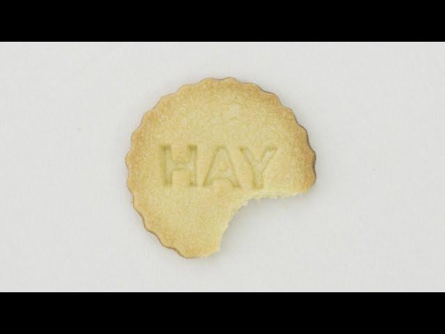 Happy Holidays from HAY + Nest.co.uk in 2024