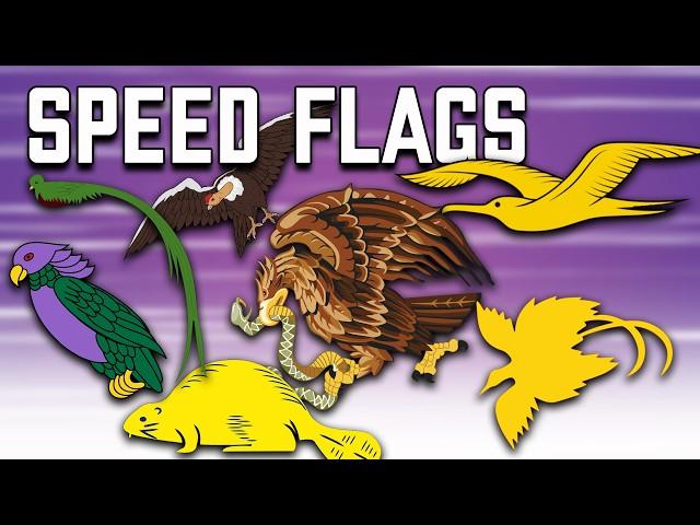 Flags Speed ​​Part 2 / Fun With Flags