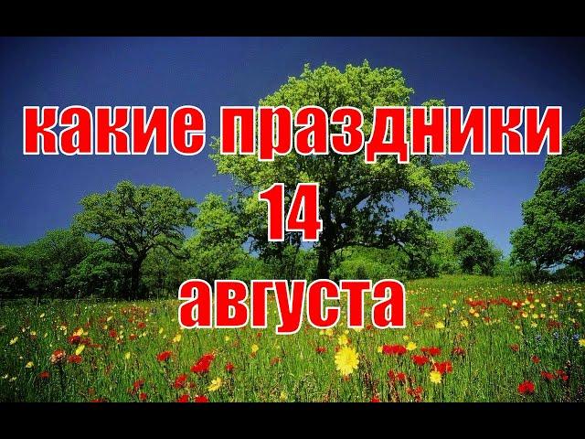 какой сегодня праздник? \ 14 августа \ праздник каждый день \ праздник к нам приходит \ есть повод