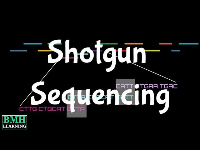 Shotgun Sequencing | Heirarchial Shotgun Sequencing | Whole Genome Shotgun Sequencing |