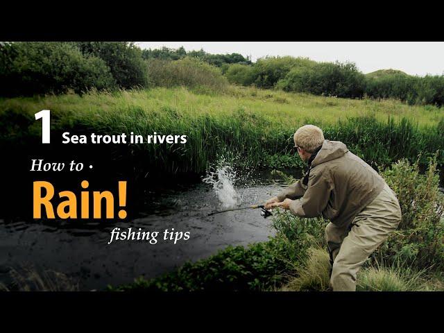 How to • Rain! • Sea trout in Rivers • fishing tips