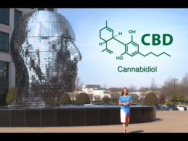 The Ultimate Guide to CBD