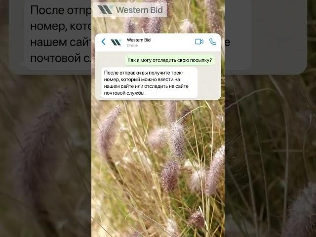 Отслеживание посылок за границу