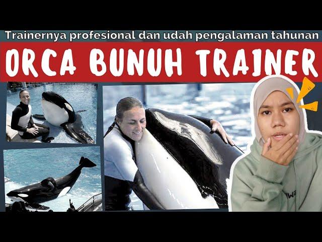 TRAINER INI DIBUNUH ORCA YANG DIA LATIH BERTAHUN-TAHUN!! || Marinasea
