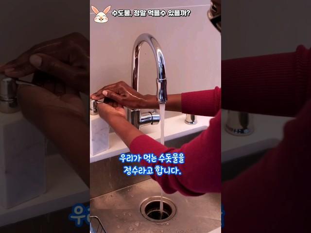 왜 이걸 몰랐지? 수도물, 정말 먹을 수 있을까?