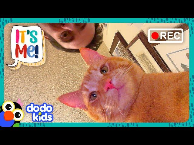 Sneaky Kittens Keep Spilling Our Water — But Why? | Dodo Kids | It’s Me!