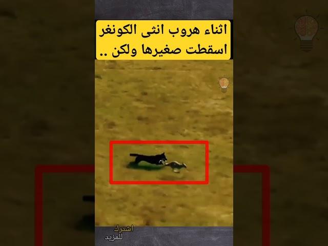 معلومة لعقلك