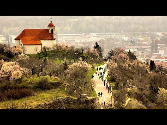 Joseph Haydn: Krisztus utolsó hét szava a keresztfán - Pannon Filharmonikusok