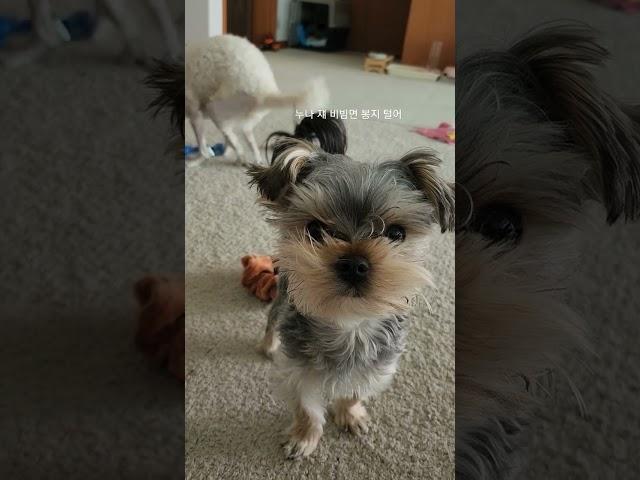 누나 쟤 좀 봐
