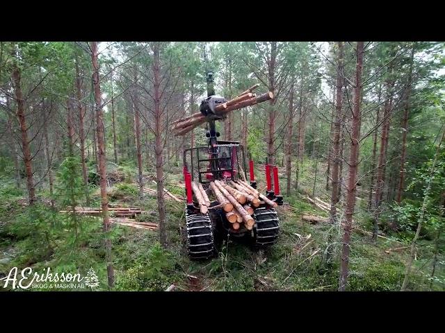 A day as a forest machine operator | Sweden