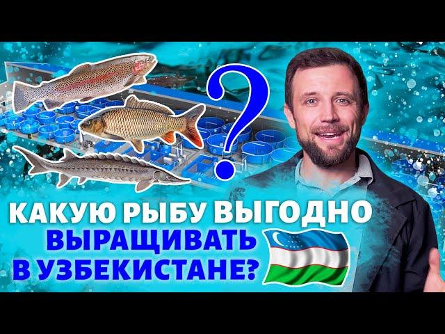 Рыбоводство в Узбекистане. Какую ПРИБЫЛЬ принесет ВАМ ферма УЗВ и что лучше всего ВЫРАЩИВАТЬ?