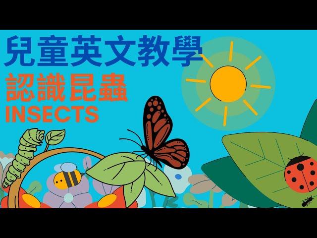 昆蟲英文單字｜認識昆蟲｜兒童英文學習｜中英文單字｜雙語教育｜Insects and bugs in Chinese