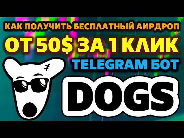 Обзор Telegram бота DOGS. Как получить бесплатный Аирдроп 50$ за 1 клик в Телеграмм (dogshouse_bot)