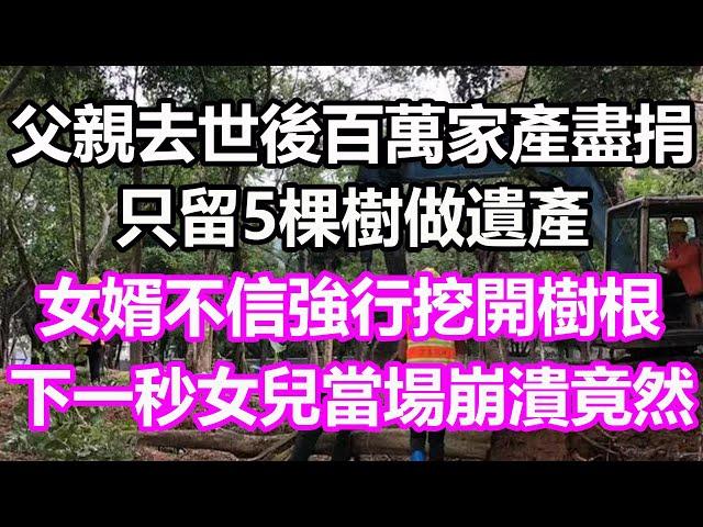 父親去世後百萬家產盡捐，只留5棵樹做遺產，女婿不信強行挖開樹根，下一秒女兒當場崩潰，竟然...#淺談人生#民間故事#為人處世#生活經驗#情感故事#養老#花開富貴#深夜淺讀#幸福人生#中年#老年