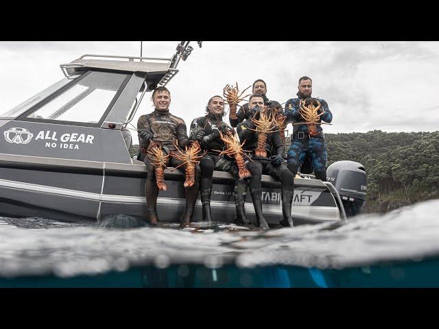 Monster Crayfish in New Zealand