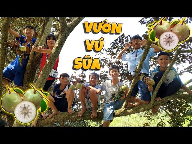 Tony | Lạc Vào Vương Quốc Vú Sữa - Star Apple Garden