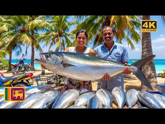 Negombo, Sri Lanka, Fish Market, my Walking Tour at the Best Fish Market in Sri Lanka.