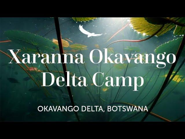 Delicately Inspired by the Water Lily | andBeyond Xaranna Okavango Delta Camp | Botswana