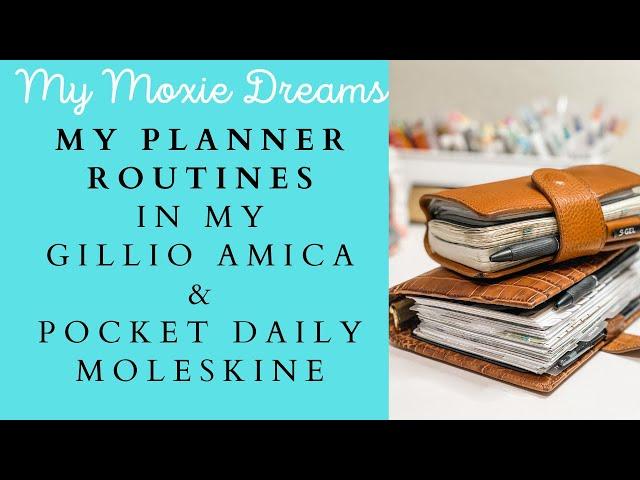 My Planner Routines | Pocket Moleskine Daily | Pocket Planner | Gillio Amica Franklin Covey Inserts