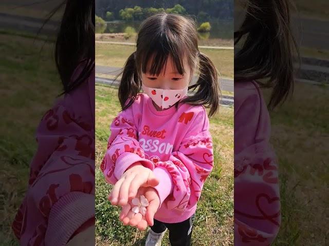 나 이거 안해 